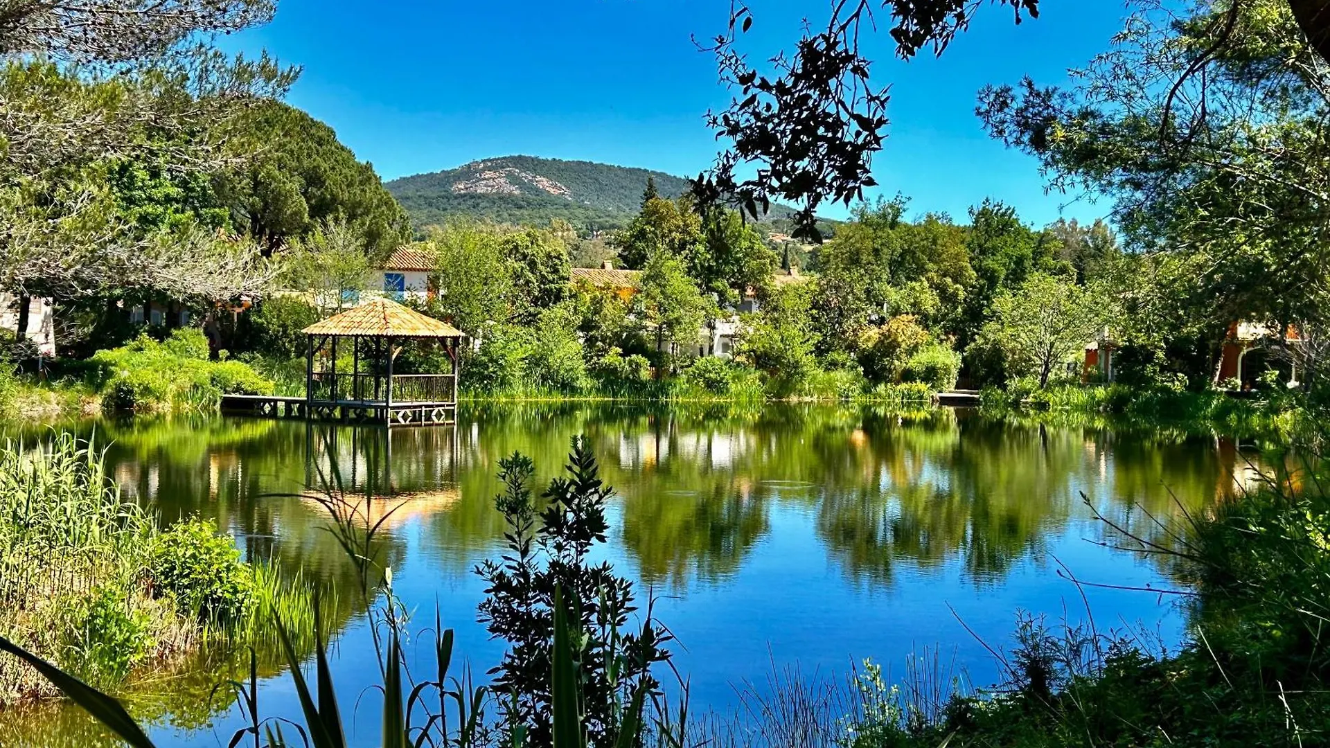Les Restanques 2058 Rez De Jardin Apartment Grimaud