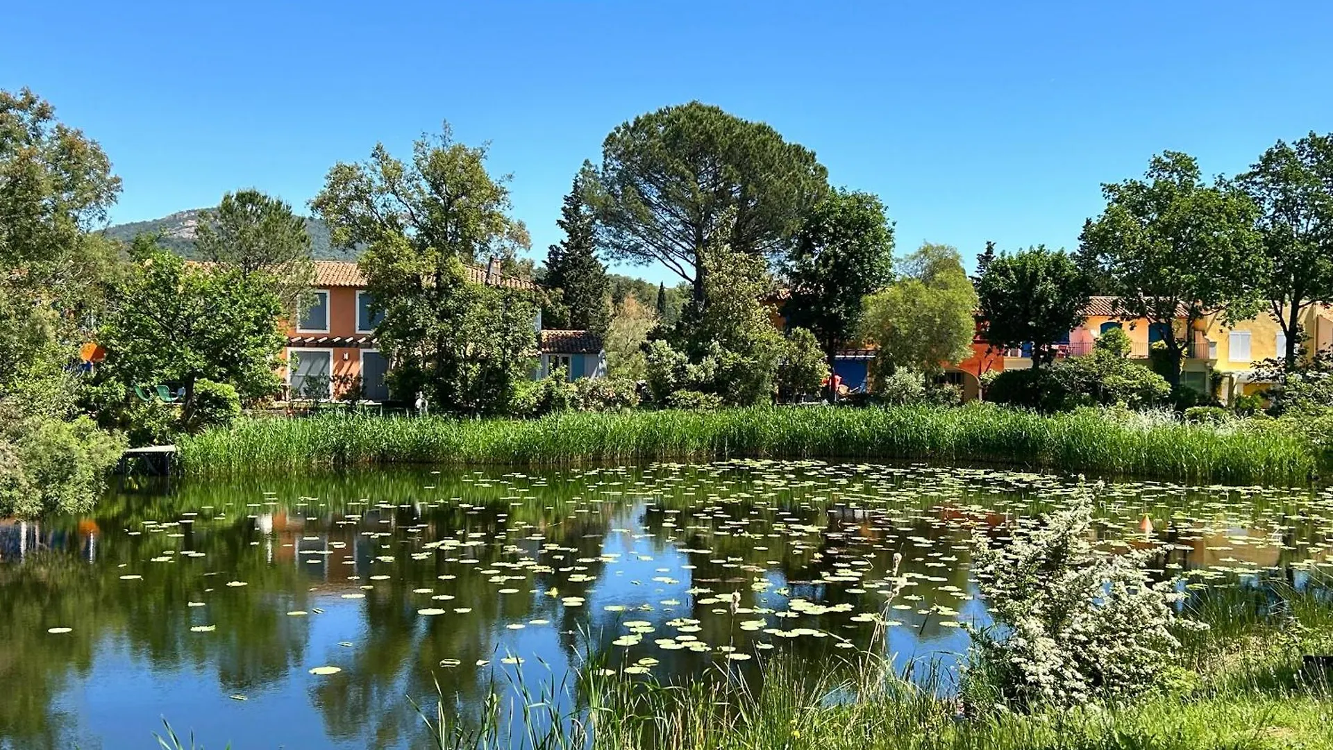 Les Restanques 2058 Rez De Jardin Apartment Grimaud