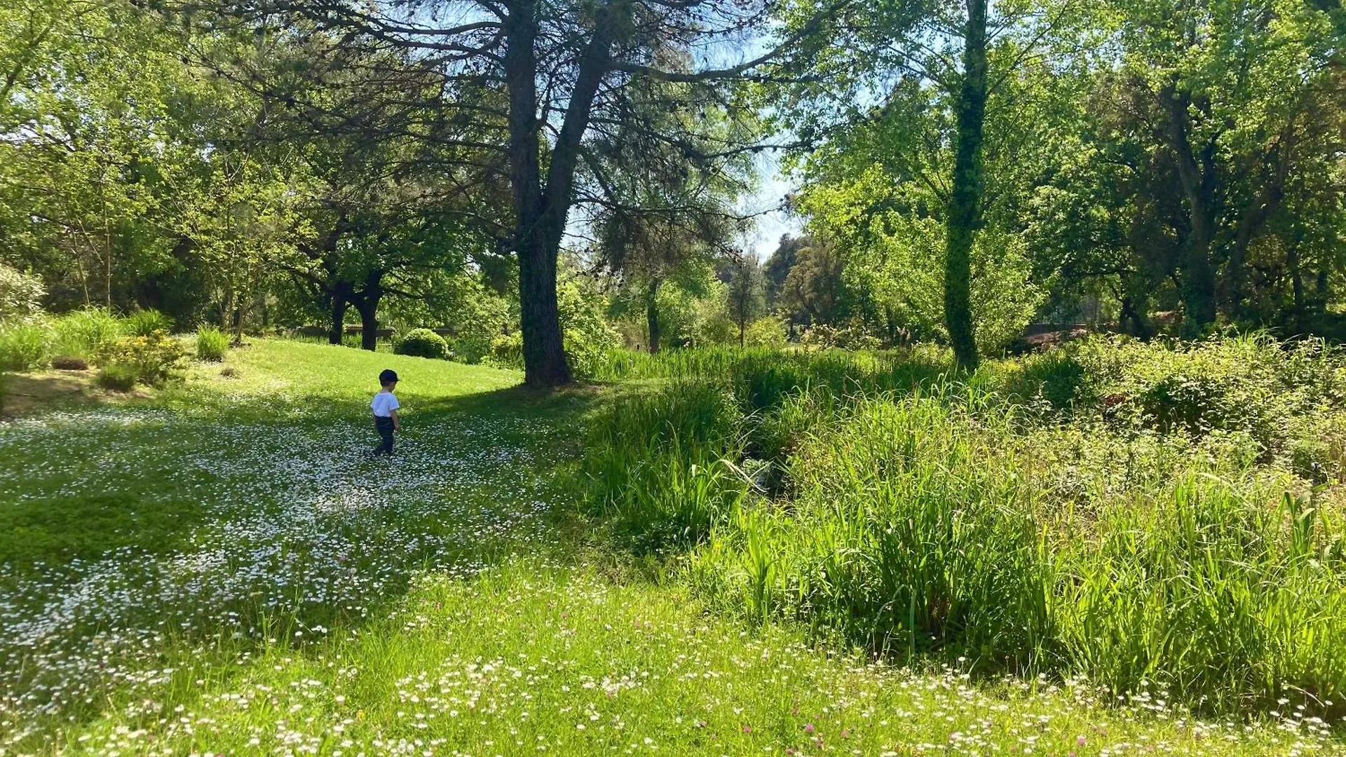 Les Restanques 2058 Rez De Jardin Apartamento Grimaud França